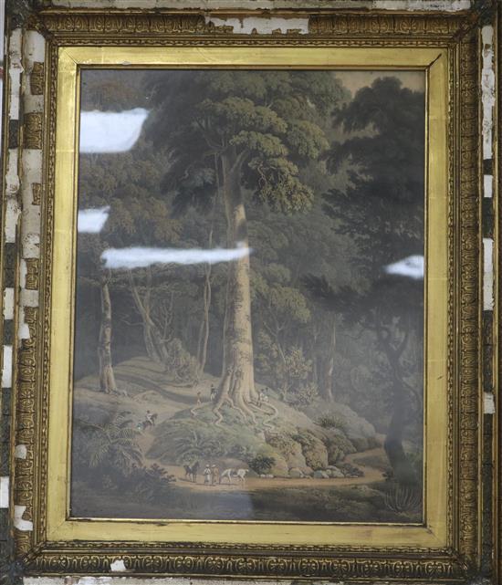 William Daniell after Captain Robert Smith (1787-1873) The Cascade & The Great Tree, Penang 44 x 34cm